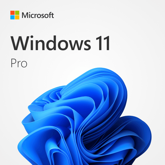 Microsoft Windows 11 Pro